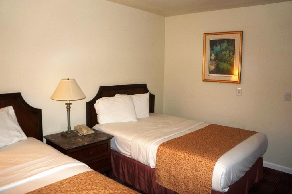 Waterford Inn Εξωτερικό φωτογραφία